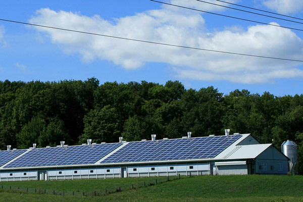 Hangars d'usine avec des panneaux solaires